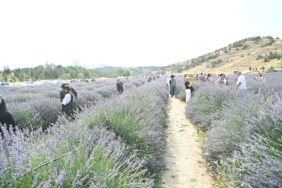 21.07.2025- Mamak Lavanta Bahçesi Şenlikle Sezona Başladı (12)