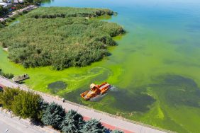 DJI_20250709101837_0072_D