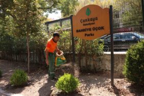 2025_08_18-19_Park Bahçeler_Bahriye Üçok Parkı Yenileme Çalışması (2)