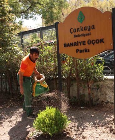 2025_08_18-19_Park Bahçeler_Bahriye Üçok Parkı Yenileme Çalışması (2)