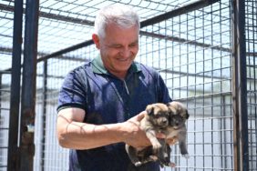 31.07.2025-Başkan Şahin Yangın Bölgesinde (9)