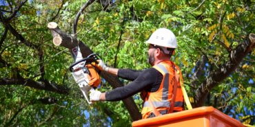 08.10.2025-Mamak’ta Ağaç Budama Çalışmaları (4)