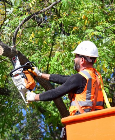 08.10.2025-Mamak’ta Ağaç Budama Çalışmaları (4)