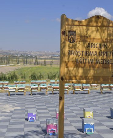 CEM_5243