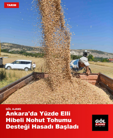 gol-ajans-1788345509201