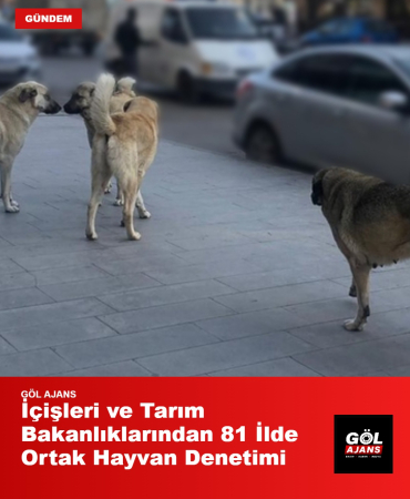 gol-ajans-1788520751289