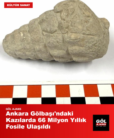 gol-ajans-1789380367444
