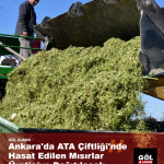 gol-ajans-1791452599169