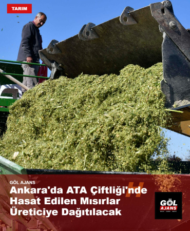 gol-ajans-1791452599169